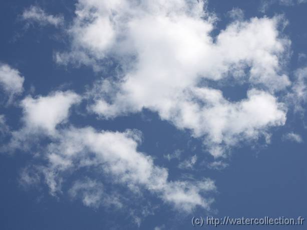 2004-08-23 15-09-21 Nature 106,0mm 1_400_eme F7,1 